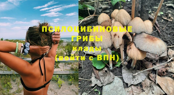 крисы Беломорск